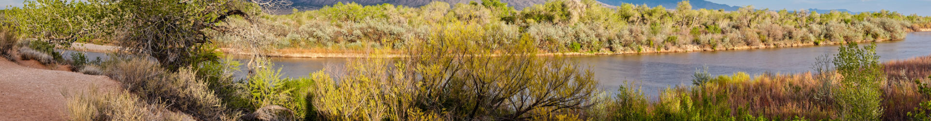 Los Rancho Albuquerque